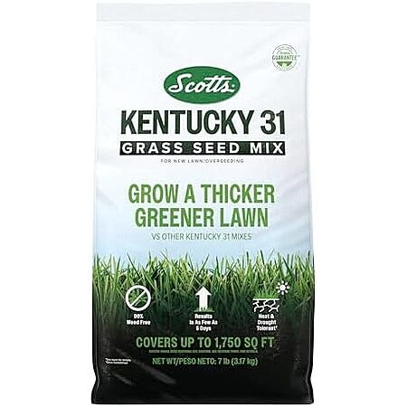 $14.99 | Scotts Kentucky 31 Grass Seed Mix, 7 lbs. at Amazon