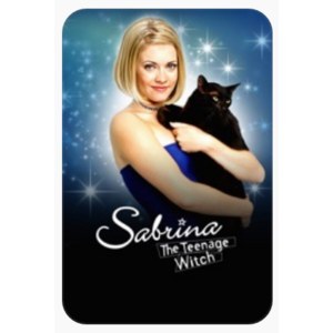 $19.99 Sale for Sabrina the Teenage Witch: The Complete Series