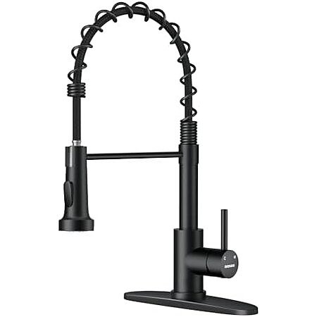 WEWE Single-Handle Pull-Down Kitchen & Bar Sink Faucet (Matte Black)