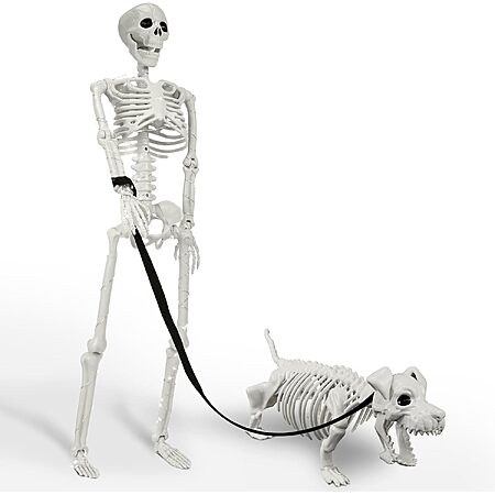 Amazon – Lighted Human & Dog Skeleton Halloween Decor
