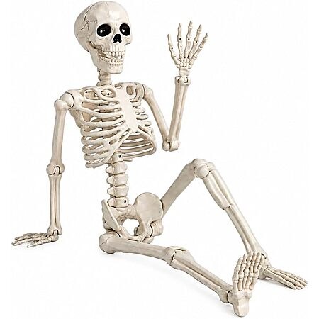 Halloween Skeleton Decorations,36" Posable Human Skeleton Decorations for Halloween Party Dec…