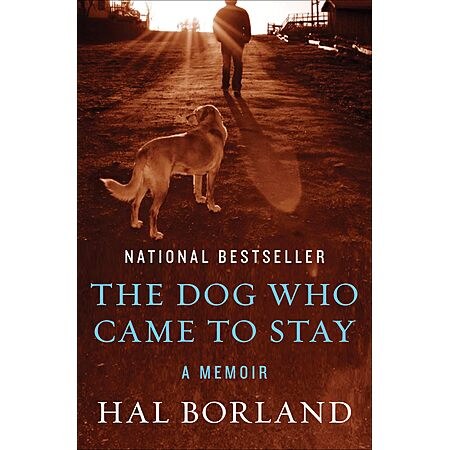 The Dog Who Came to Stay: A Memoir (Kindle ebook) $1.99
